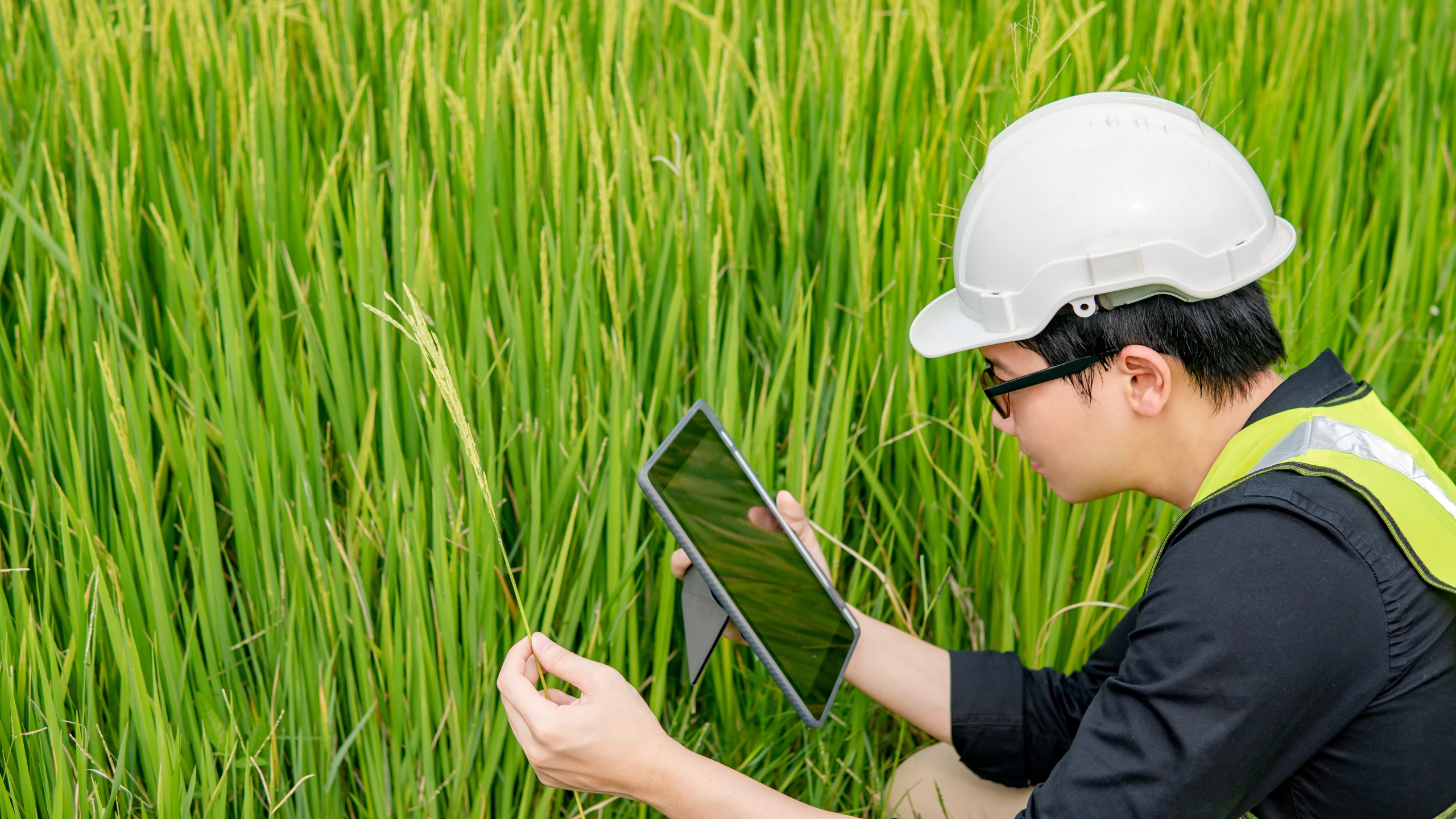 Engineering biology inquiry launched
