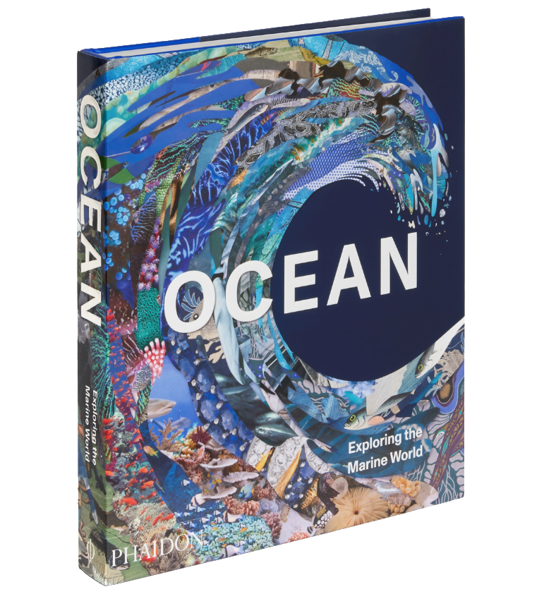 Ocean, Exploring the Marine World