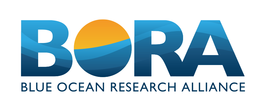 United Nations endorses the BORA Blue Ocean Research Alliance® programme