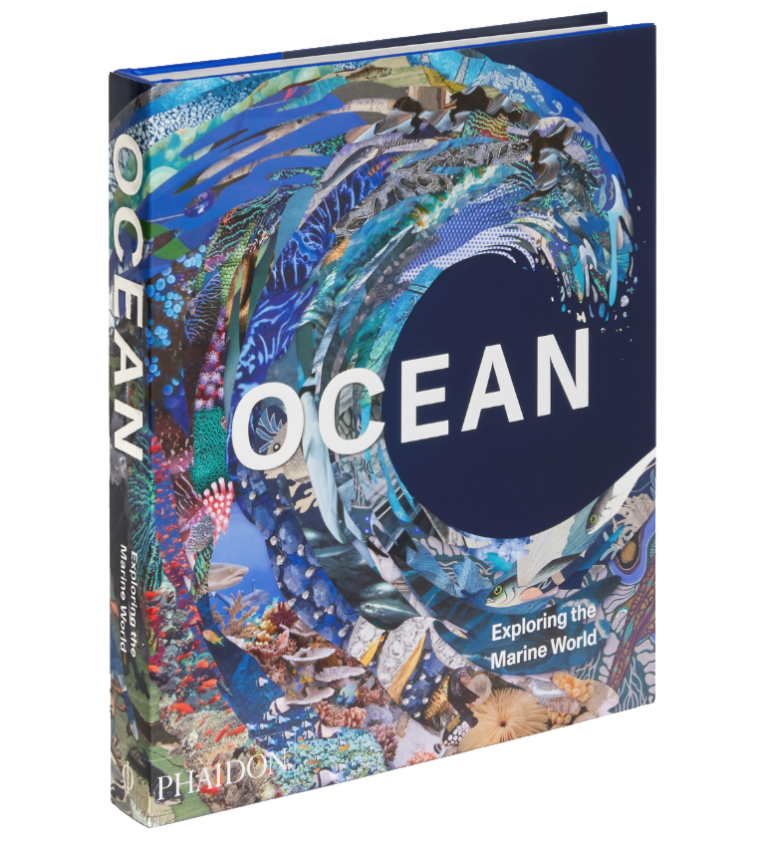 ocean-exploring-the-marine-world-science-in-parliament